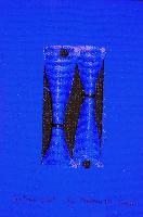 img/Respiri - 2/380 - Ritmo blu.jpg